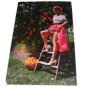 Vintage Florida Oranges Postcard Pin-Up Girl Orange Grove Hannau Koppel Chrome